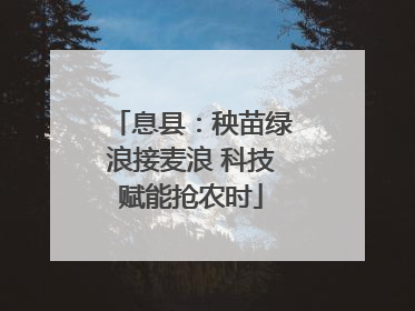 息县：秧苗绿浪接麦浪 科技赋能抢农时