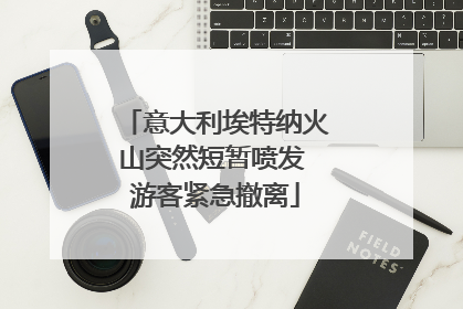 意大利埃特纳火山突然短暂喷发 游客紧急撤离