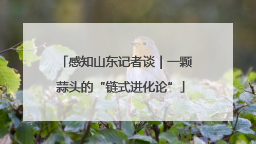 感知山东记者谈｜一颗蒜头的“链式进化论”