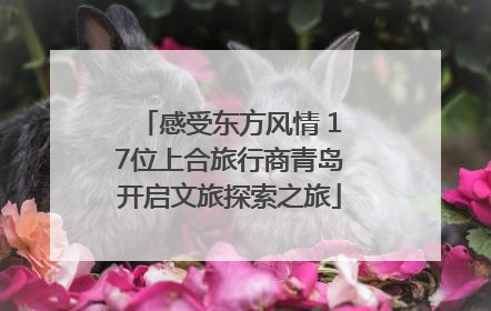 感受东方风情 17位上合旅行商青岛开启文旅探索之旅