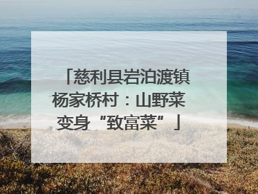 慈利县岩泊渡镇杨家桥村：山野菜变身“致富菜”