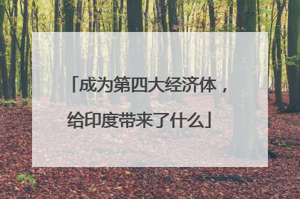 成为第四大经济体，给印度带来了什么