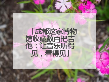成都这家博物馆收藏数百把吉他：让音乐听得见，看得见