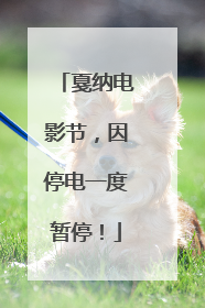 戛纳电影节，因停电一度暂停！