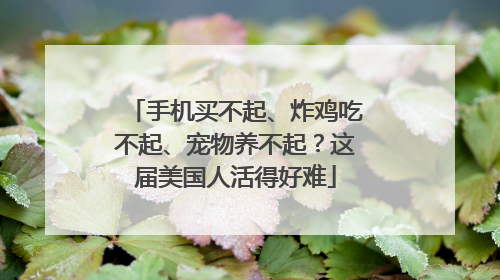 手机买不起、炸鸡吃不起、宠物养不起？这届美国人活得好难