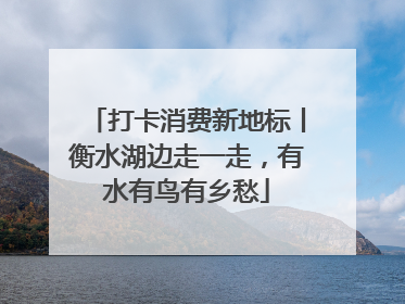 打卡消费新地标丨衡水湖边走一走，有水有鸟有乡愁