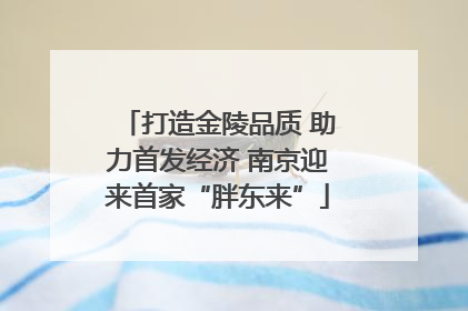 打造金陵品质 助力首发经济 南京迎来首家“胖东来”