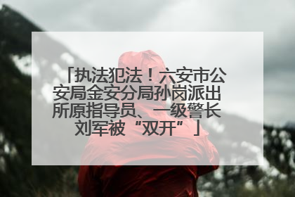 执法犯法！六安市公安局金安分局孙岗派出所原指导员、一级警长刘军被“双开”