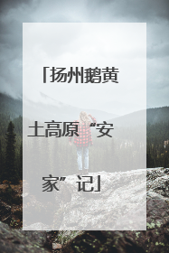 扬州鹅黄土高原“安家”记