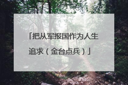 把从军报国作为人生追求（金台点兵）