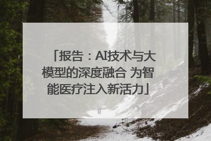报告：AI技术与大模型的深度融合 为智能医疗注入新活力