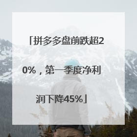 拼多多盘前跌超20%，第一季度净利润下降45%