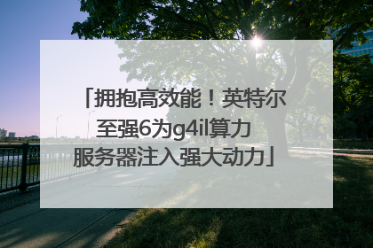 拥抱高效能！英特尔至强6为g4il算力服务器注入强大动力