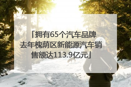 拥有65个汽车品牌 去年槐荫区新能源汽车销售额达113.9亿元