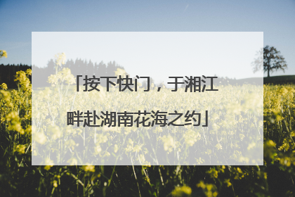 按下快门，于湘江畔赴湖南花海之约