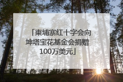 柬埔寨红十字会向坤塔宝花基金会捐赠100万美元