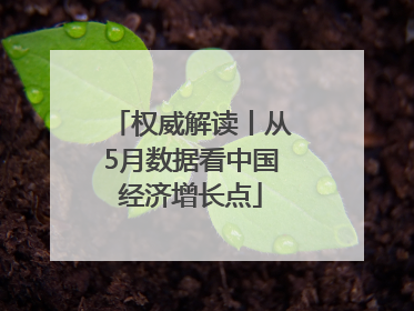 权威解读丨从5月数据看中国经济增长点