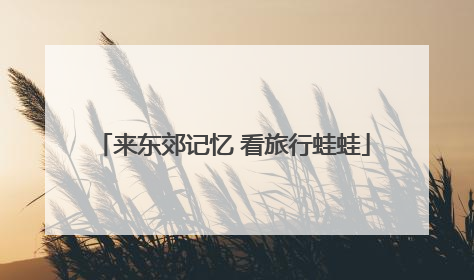 来东郊记忆 看旅行蛙蛙