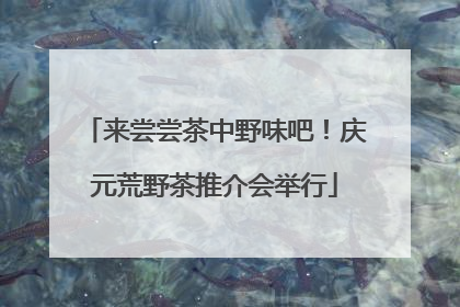 来尝尝茶中野味吧！庆元荒野茶推介会举行