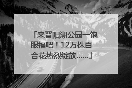 来晋阳湖公园一饱眼福吧！12万株百合花热烈绽放……