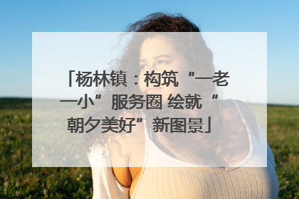 杨林镇：构筑“一老一小”服务圈 绘就“朝夕美好”新图景