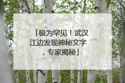 极为罕见！武汉江边发现神秘文字，专家揭秘