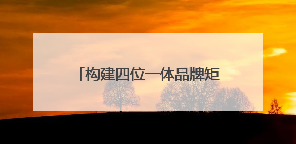 构建四位一体品牌矩阵 德阳深耕“三星堆+”赋能国际旅游城市建设｜文旅局长说