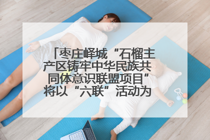 枣庄峄城“石榴主产区铸牢中华民族共同体意识联盟项目”将以“六联”活动为抓手深化品牌建设