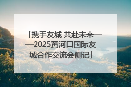携手友城 共赴未来——2025黄河口国际友城合作交流会侧记