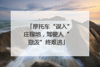 摩托车“误入”庄稼地，驾驶人“撒泼”终难逃