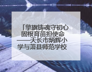 擎旗铸魂守初心 固根育苗担使命——天长市炳辉小学与萧县师范学校附属小学结对共建活动纪实