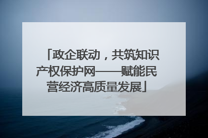 政企联动，共筑知识产权保护网——赋能民营经济高质量发展