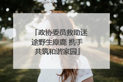 政协委员救助迷途野生麋鹿 携手共筑和谐家园