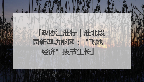 政协江淮行｜淮北段园新型功能区：“飞地经济”拔节生长