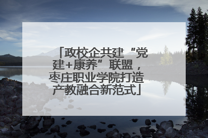 政校企共建“党建+康养”联盟，枣庄职业学院打造产教融合新范式