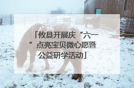 攸县开展庆“六一”点亮宝贝微心愿暨公益研学活动