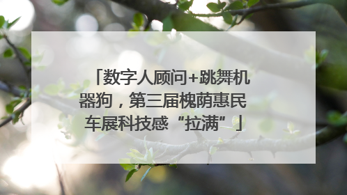 数字人顾问+跳舞机器狗，第三届槐荫惠民车展科技感“拉满”