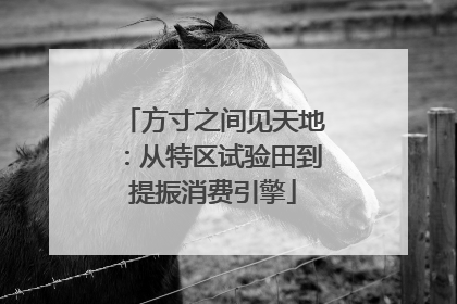 方寸之间见天地：从特区试验田到提振消费引擎