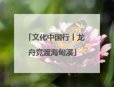 文化中国行丨龙舟竞渡海甸溪
