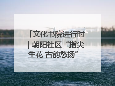 文化书院进行时｜朝阳社区“指尖生花 古韵悠扬”公益课堂开课了