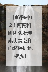 新物种+2！海南科研团队发现素贞灵芝和自然保护地壁虎