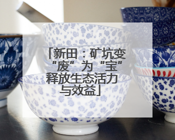 新田：矿坑变“废”为“宝” 释放生态活力与效益