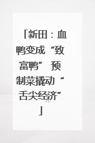 新田：血鸭变成“致富鸭” 预制菜撬动“舌尖经济”