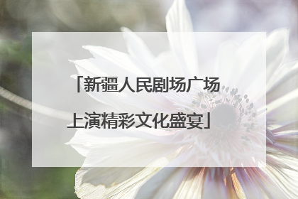 新疆人民剧场广场上演精彩文化盛宴