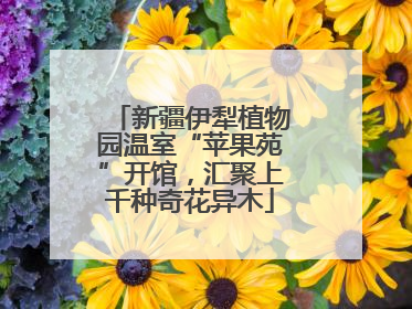新疆伊犁植物园温室“苹果苑”开馆，汇聚上千种奇花异木