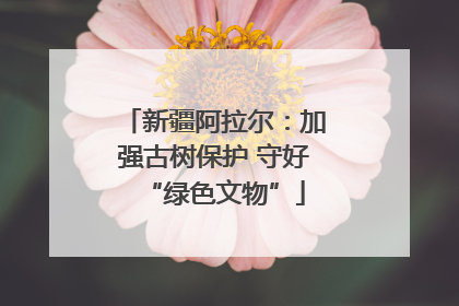 新疆阿拉尔：加强古树保护 守好“绿色文物”