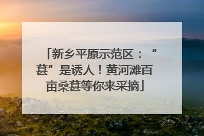 新乡平原示范区：“葚”是诱人！黄河滩百亩桑葚等你来采摘