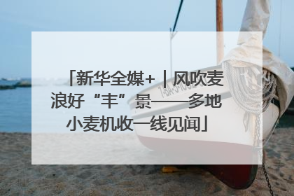 新华全媒+｜风吹麦浪好“丰”景——多地小麦机收一线见闻