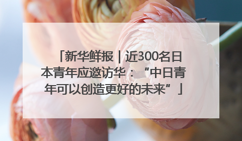 新华鲜报｜近300名日本青年应邀访华：“中日青年可以创造更好的未来”