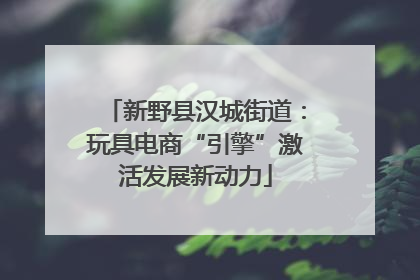 新野县汉城街道：玩具电商“引擎”激活发展新动力